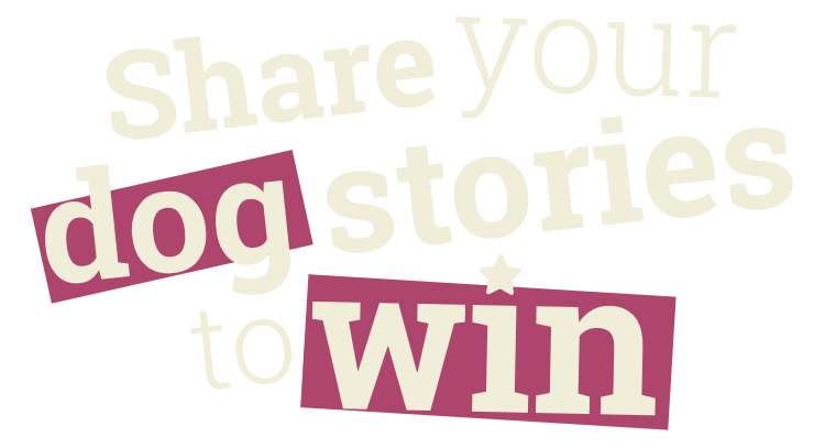 Share your dog stories to win graphic